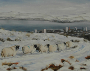 Sheep in Snow